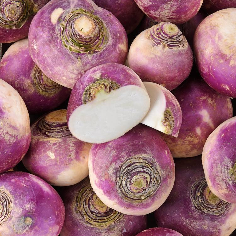 Le Navet violet BIO