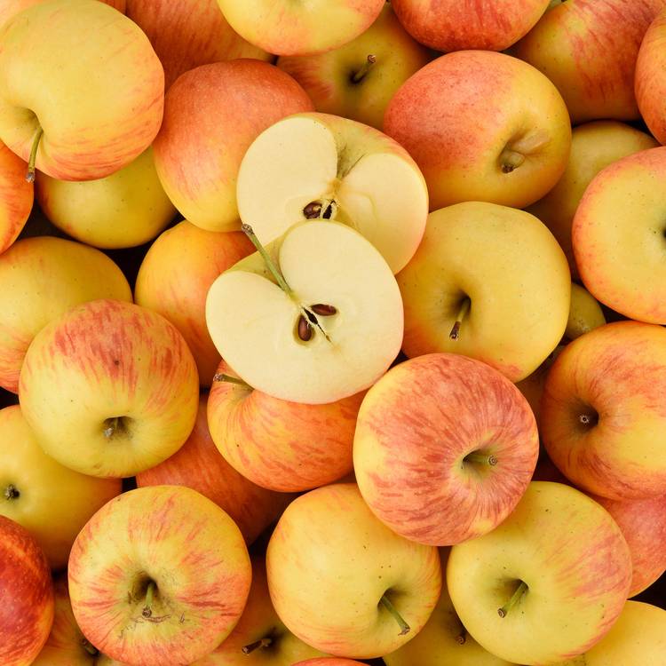 La Pomme Dalinette BIO