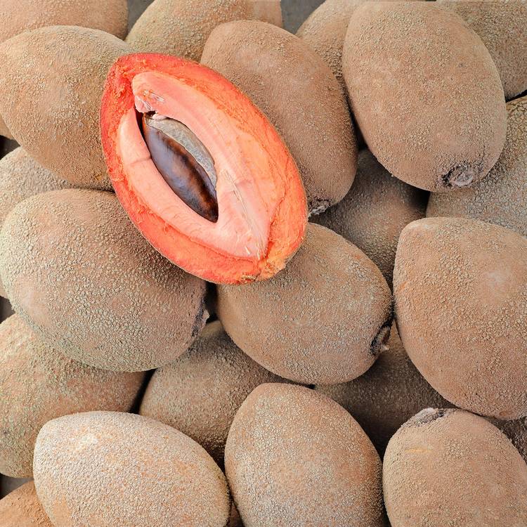 La Sapote Mamey