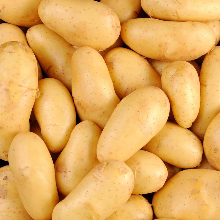 La Pomme de terre BIO