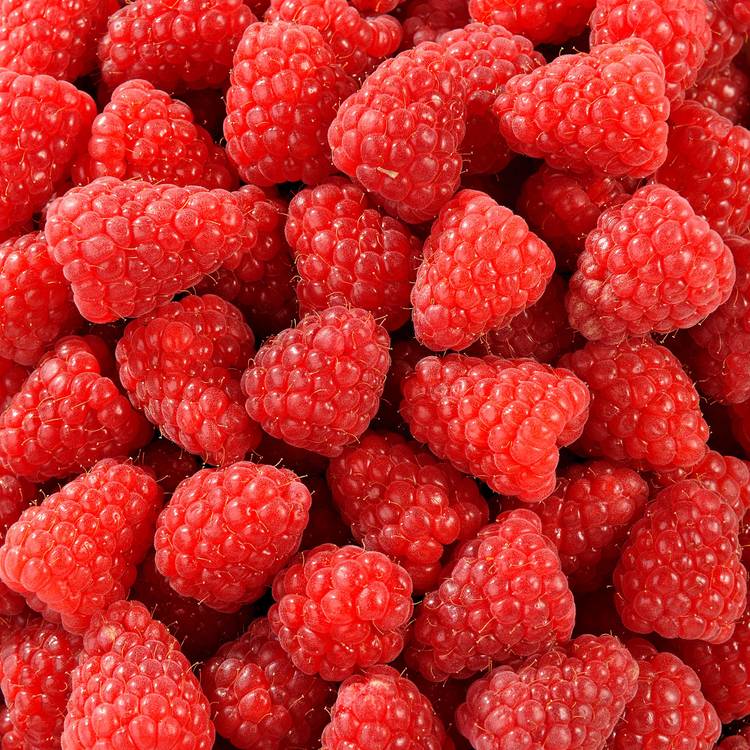 La Framboise à confiture