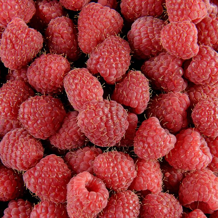 La Framboise tulameen