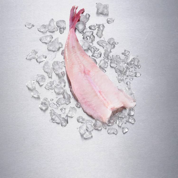 La Queue de lotte prête à cuire