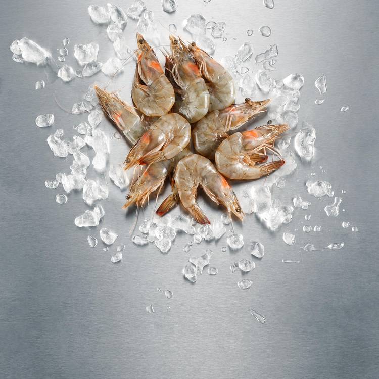 Les Crevettes crues 40/50 ASC