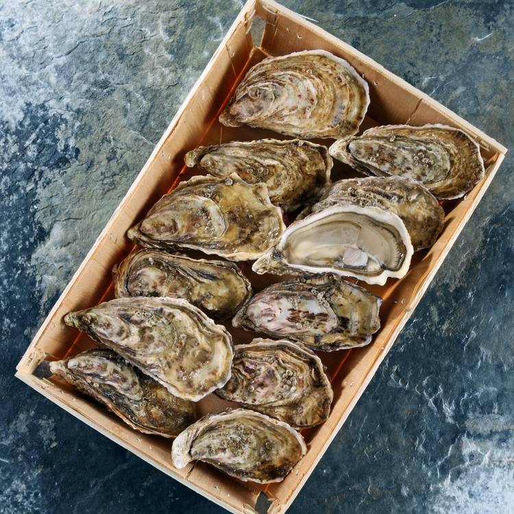 Les 10 Huîtres à cuisiner Spéciales n°1