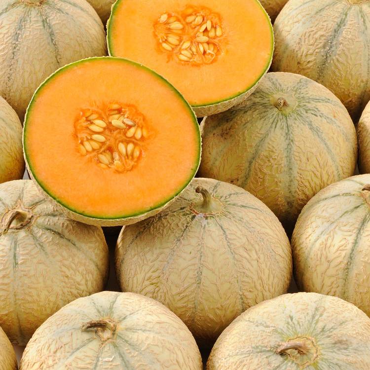 Le Melon sélection des Antilles