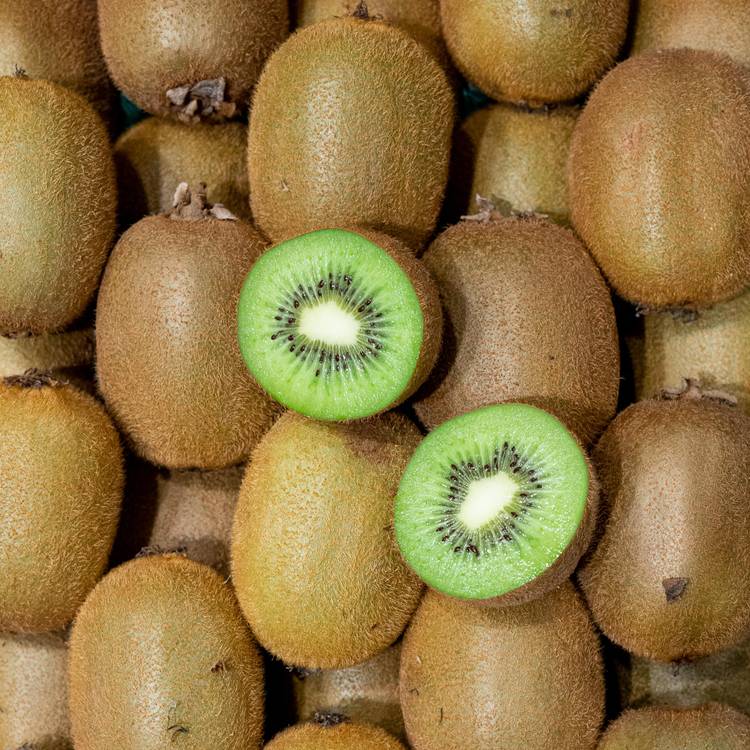 Le Kiwi vert "sélection"