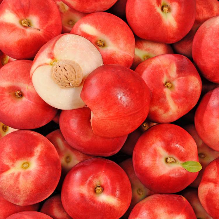 La Nectarine blanche