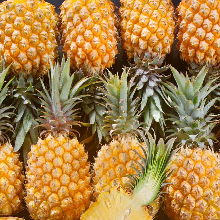 L'Ananas victoria