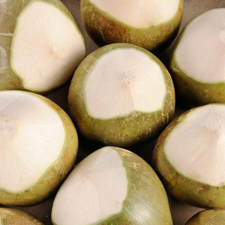 La Noix de coco fraîche