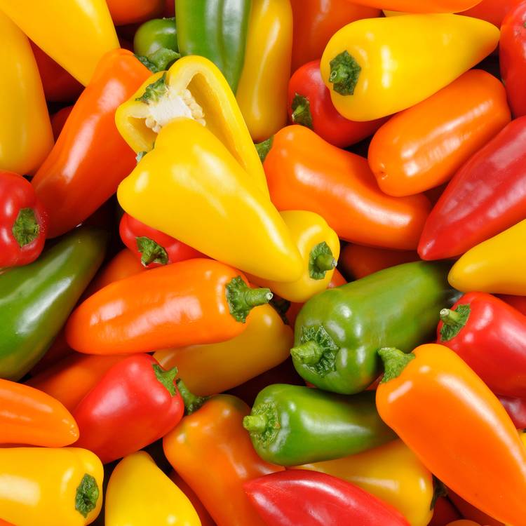 Le Mélange de mini poivrons
