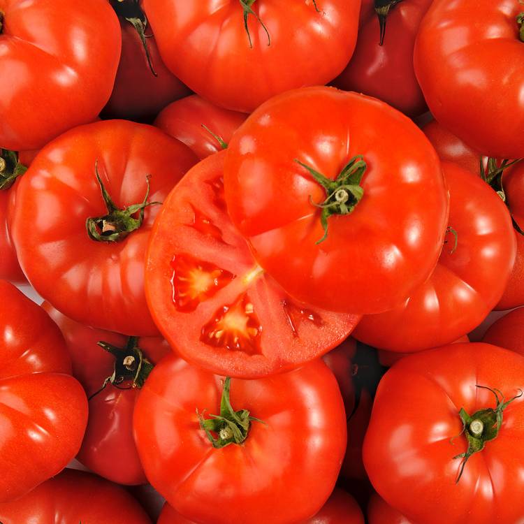 La Tomate à farcir