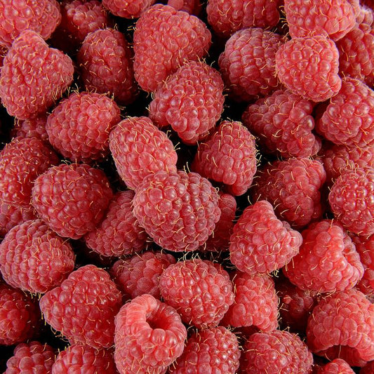 La Framboise tulameen