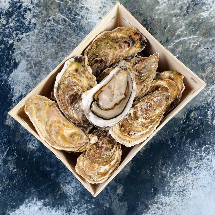 Les 12 Huîtres spéciales Quiberon N°3